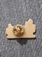 PIN'S PINS PIER IMPORT DECO MEUBLES MAGASIN - Marche