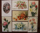 Lot 34 Ak CPA 1900's Fleurs Carte Voyagée Elsass Alsace - Sonstige & Ohne Zuordnung
