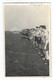 51322   Clavier  Terrain  Football  Match  Clavier  Seebach Zurich   1959 - Clavier