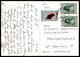 ÄLTERE POSTKARTE HOTEL INTERCONTINENTAL KABUL AFGHANISTAN Aegyptus Monachus Postes Afghanes Ansichtskarte Cpa Postcard - Afghanistan