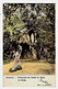 CPA MOUSCRON : Pensionnat Des Dames De Marie - La Grotte (couleurs) - Circulée En 1903 - Edit. H. Lerouge - 2 Scans - Mouscron - Moeskroen