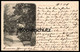 ALTE POSTKARTE KIRCHHEIMBOLANDEN 1907 Ansichtskarte AK Postcard Cpa - Kirchheimbolanden
