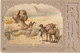 EGYPTE  Le SPHINX  Dessin Rare ? Non Signé De 1902 - Sphinx