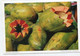 AK 121933 COSTA RICA - Papaya-Früchte - Costa Rica