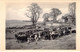 REPUBLIQUE CENTREFRICAINE - Baobabs Et Bétail à Léopoldville - Carte Postale Ancienne - República Centroafricana