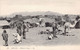 EGYPTE - Assuan - Bisharin Camp - LL - Dromadaire - Carte Postale Ancienne - Assouan