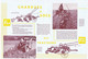 C10A) Feuillet Publicité Tracteur CHARRUES F8A F9A F9B McCORMICK  4pp. 28x21cm - Tractors
