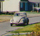 77 LESIGNY Parc Société Immobilière LEVITT France VOIR ZOOM VW Käfer Ancienne Citroên Ami 6 Peugeot 404 - Lesigny