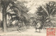 (TUNISIA) - SCENES ET TYPES - UNE ALLEE DE PALMIERS - ED. LL REF #6437 - 1909 - Afrique