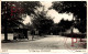 RPPC THE VILLAGE GREEN WOLDINGHAM - Surrey