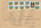 Egypt 2011 Pyramid Pharao Barcoded Registered Cover Via France To Cameroon - Storia Postale