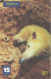 Brazil:Brasil:Used Phonecard, Telefonica, 30 Units, Animal, Rodent, 2001 - Brasilien