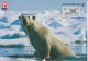 03-05-2002 GREENLAND SPECIAL COVER POLAR BEAR Ship Craft Stamps FISH Pmk Card Max. Kaart- Max. Card - Lettres & Documents