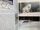 Timberwolf Yukon & Co : 11 Jahre Verhaltensbeobachtungen An Wölfen In Freier Wildbahn. - Animales