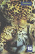 Brazil:Brasil:Used Phonecard, Telefonica, 30 Units, Leopard, 2001 - Brasilien