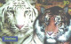 Brazil:Brasil:Used Phonecard, Telefonica, 30 Units, Tigers, 2000 - Brasilien