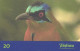 Brazil:Brasil:Used Phonecard, Telefonica, 20 Units, Bird, Momotus Momota, 1999 - Brasilien