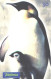 Brazil:Brasil:Used Phonecard, Telefonica, 30 Units, Penguins, 2000 - Brasilien