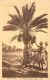 AFRIQUE - La Récolte Des Dattes Dans Le Sud - Publicité Chocolat CARDON Cambrai - Carte Postale Ancienne - Sin Clasificación