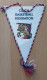 CZECH REPUBLIC BASKETBALL FEDERATION PENNANT, SPORTS FLAG ZS 4/12 - Uniformes, Recordatorios & Misc