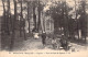 FRANCE - 80 - CAYEUX - Dans Les Bois De Sapins - LL - Carte Postale Ancienne - Cayeux Sur Mer