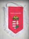 Official Pennant Of The Hungary Ice Hockey Federation. - Other & Unclassified