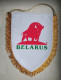 Official Pennant Of The Belarus Ice Hockey Federation. - Sonstige & Ohne Zuordnung