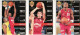 3 Cartes  Panini Nl:03 Bruno Coqueran & Nl:06 Valery Demory & N: 10 Dennis Hopson*  Basket Ball - Equipe  Pitch Cholet - Basket-ball