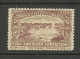 USA 1901 Pan American Exposition 1901 Buffalo & Niagara Advertising Poster Stamp Reklamemarke (*) Mint No Gum - Unused Stamps