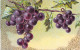 Deux Grappes De Raisins Noires Sur La Vigne - Carte Postale Ancienne - Other & Unclassified