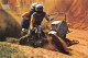 Delcampe - ¤¤   -  Lot De 9 Cartes De SIDE-CAR De Course  -  Moto       -   ¤¤ - Motorfietsen