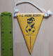 FC Avenir Beggen Luxembourg Football  Soccer Club Fussball Calcio Futbol Futebol PENNANT, SPORTS FLAG ZS 3/3 - Bekleidung, Souvenirs Und Sonstige