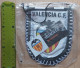 Valencia CF Spain Football club Soccer Fussball Calcio Futebol  PENNANT, SPORTS FLAG ZS 3/5 - Abbigliamento, Souvenirs & Varie