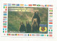 Cp , Carte QSL,  BRAVO ROMEO CHARLIE, International DX - ERS MEETING, 1997, Ours , Oursons, 2 Scans - Radio Amateur