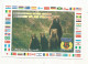 Cp , Carte QSL,  BRAVO ROMEO CHARLIE, International DX - ERS MEETING, 1997, Ours , Oursons, 2 Scans - Radio Amatoriale