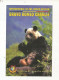 Cp , Carte QSL,  BRAVO ROMEO CHARLIE, International DX - SWL Group Belgium, Panda, 2 Scans - Radio Amatoriale