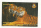 Cp , Carte QSL,  BRAVO ROMEO CHARLIE, International DX - SWL Group Belgium, Tigre, 2 Scans - Radio Amateur