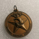 Medaglia Settimana Sportiva Forze Armate Regione Militare Meridionale 1973 MILITARE  MEDAGLIA   MEDAL - Altri & Non Classificati