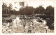 Australie - The Royal Series No 23 - Queen's Garden, Perth, W.A. - Edit. Ratcliffe - Carte Postale Ancienne - Sonstige & Ohne Zuordnung