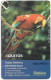 Peru - Telefónica - Iquitos, Parrot, GEM2 Red, 04.1999, 5Sol, 150.000ex, Used - Peru