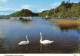 Postcard At Balmaha Loch Lomond [ Swans ] My Ref B26140 - Stirlingshire