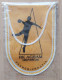 RK AGRAM - MEDVESCAK Zagreb Croatia Handball Club  PENNANT, SPORTS FLAG ZS 3/16 - Palla A Mano