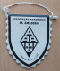 ASSOCIAÇÃO ACADÉMICA DA AMADORA Portugal Handball Club Football PENNANT, SPORTS FLAG ZS 3/16 - Handbal