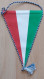 TF SE Budapest Hungary Basketball Club PENNANT, SPORTS FLAG ZS 2/2 - Bekleidung, Souvenirs Und Sonstige