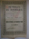 Pétroles De Roumanie - Action De Dividende - 1906 - Petróleo