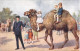 Animaux - Chameau - Camel Etc. The Zoological Garden - London - Edit.£ J. Salon - Colorisé - Carte Postale Ancienne - Elephants