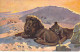 Animaux - Lions - Edit. W. De Haan - Illustrateur Gerotenhauer - Carte Postale Ancienne - Lions