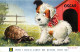 - Thèmes -ref-PP692- Tortues - Tortue Et Oscar The Pup - N°G205 - Chiens - " I Wich I Could Carry ....- Illustrateurs - - Schildpadden