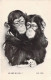 ANIMAUX - Singe - Chimpanzé - Me And My Gal ! - Carte Postale Ancienne - Scimmie