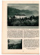 Delcampe - Bergland. Illustrierte Alpenländische Monatsschrift. 13. Jahrgang - 1931, Heft 1 - Viaggi & Divertimenti